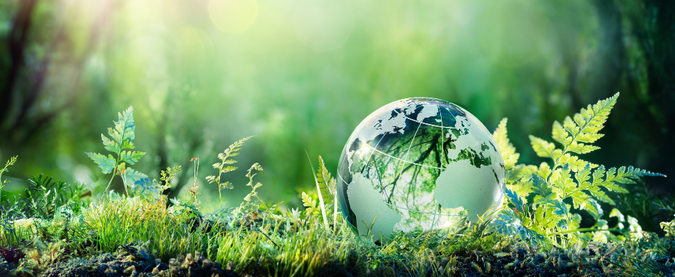 Taxonomia UE, SFDR și verificarea obligațiunilor verzi europene