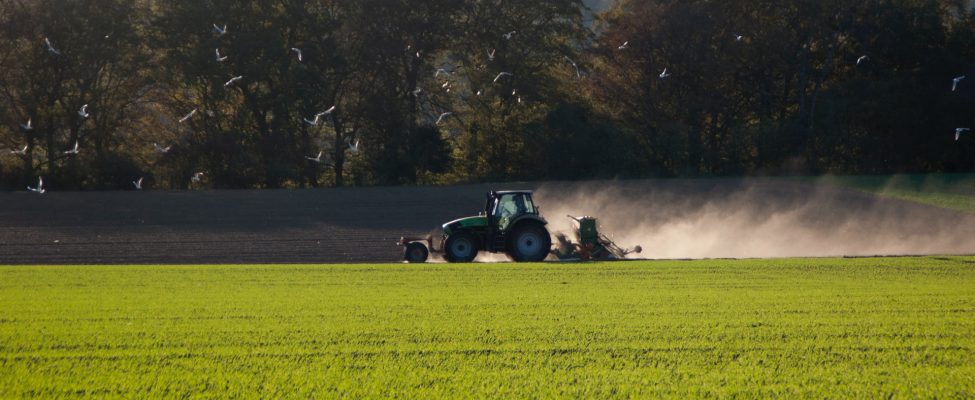 Certificarea ISCC internațională privind sustenabilitatea și emisiile de carbon