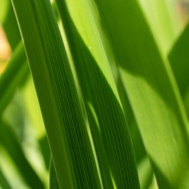 Sistemul de management de mediu ISO 14001: un pas către practici de mediu mai bune