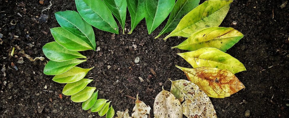 Beneficiile Evaluării Ciclului de Viață (LCA) în Mediu de Afaceri Actual