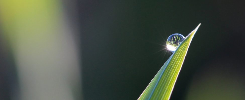 Puterea standardelor internaționale