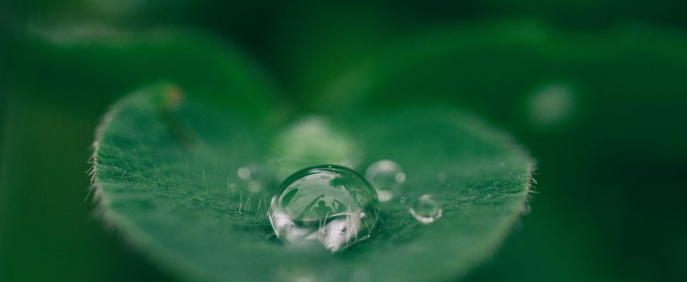 Taxonomia UE, SFDR și verificarea obligațiunilor verzi europene