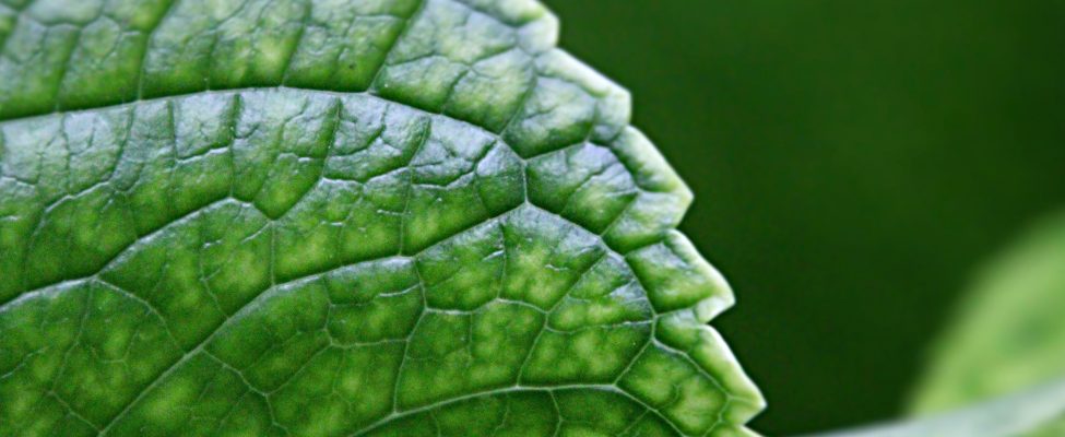 Stimularea responsabilității față de mediu și a succesului în afaceri cu ISO 14064-1