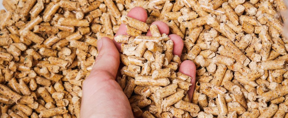 BM Certification a obținut acreditarea pentru Certificarea ENplus®